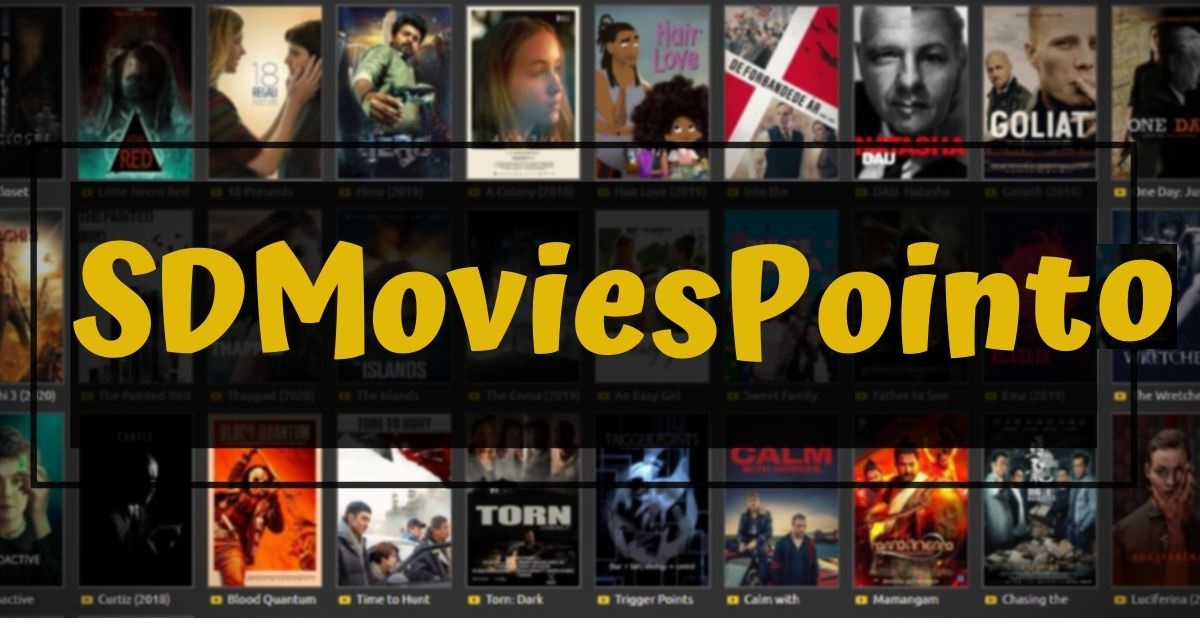SD-Movies-Pinto